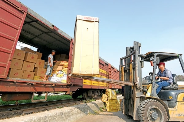 Vận chuyển hàng hóa ga sóng thần